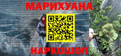 молекула духа Кингисепп