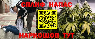 молекула духа Кингисепп