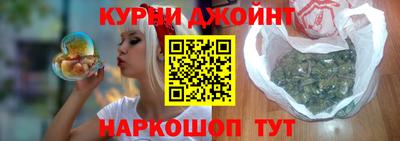 молекула духа Кингисепп