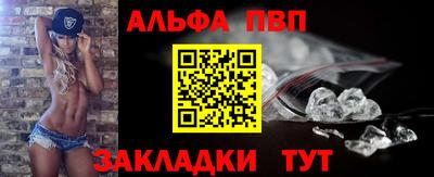 молекула духа Кингисепп
