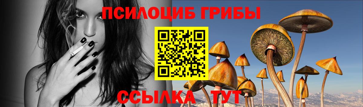 Лабинск  Галлюциногенные грибы MAGIC MUSHROOMS  Вход с VPN  Галлюциногенные грибы прущие грибы 